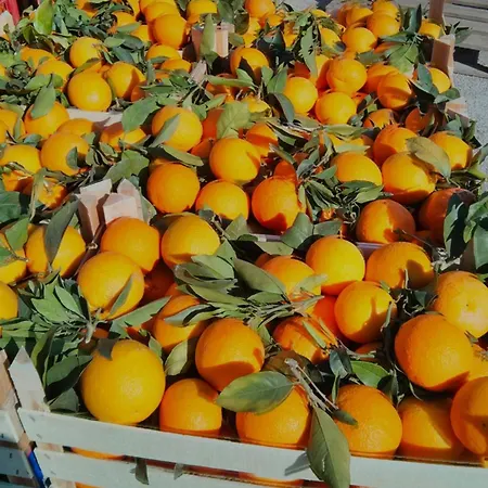 Sicilian Garden