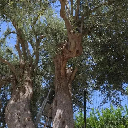 Sicilian Garden Apartment *