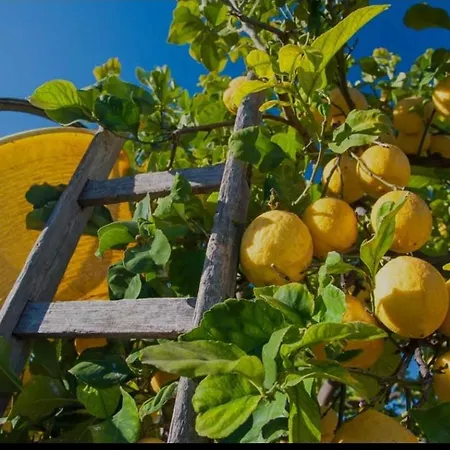 Sicilian Garden Apartment Avola