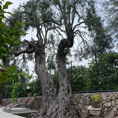 Sicilian Garden Apartment *