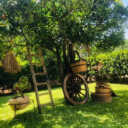 Sicilian Garden *
